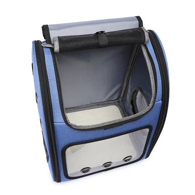 Travel Freely, Love Deeply with Your Pet